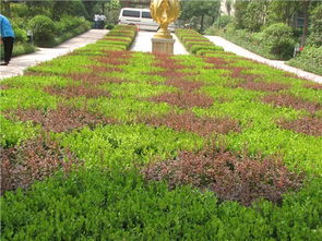 華曦園林 以一級資質匠心打造鶴崗城市綠色名片